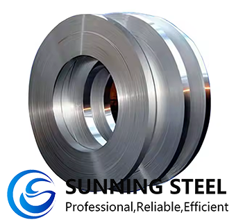 Stainless Steel Strips